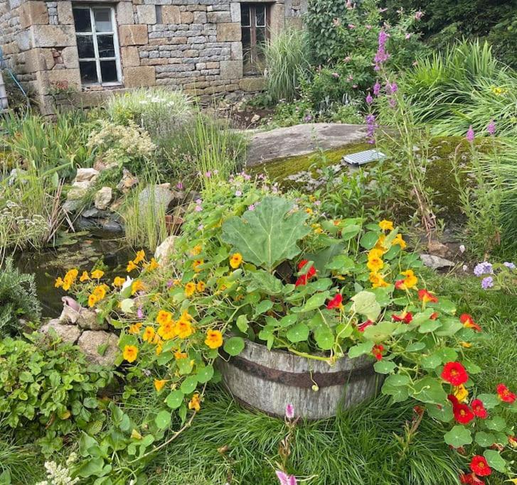 Le Petit Fleur - The Little Flower, Cosy Cottage Saint-Michel-de-Montjoie Exteriör bild