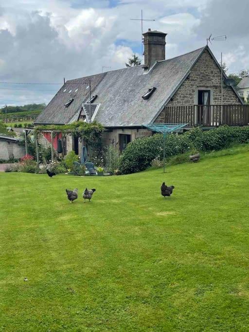 Le Petit Fleur - The Little Flower, Cosy Cottage Saint-Michel-de-Montjoie Exteriör bild